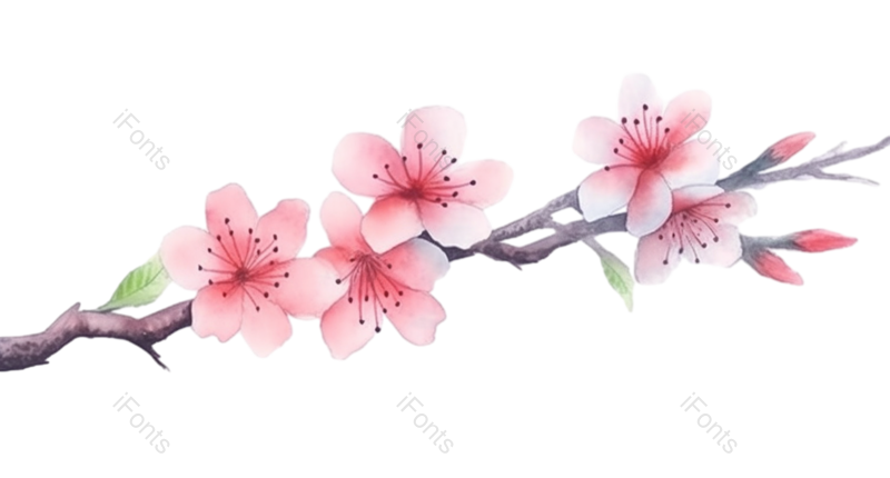 插画图片,粉红色的花元素,水彩画PNG,手绘元素免抠素材